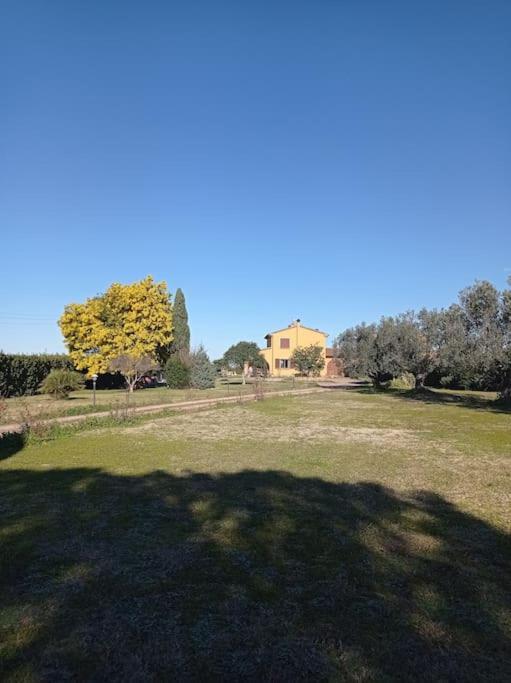 La Casina Di Campagna Tra Cecina E Bibbona Βίλα Εξωτερικό φωτογραφία