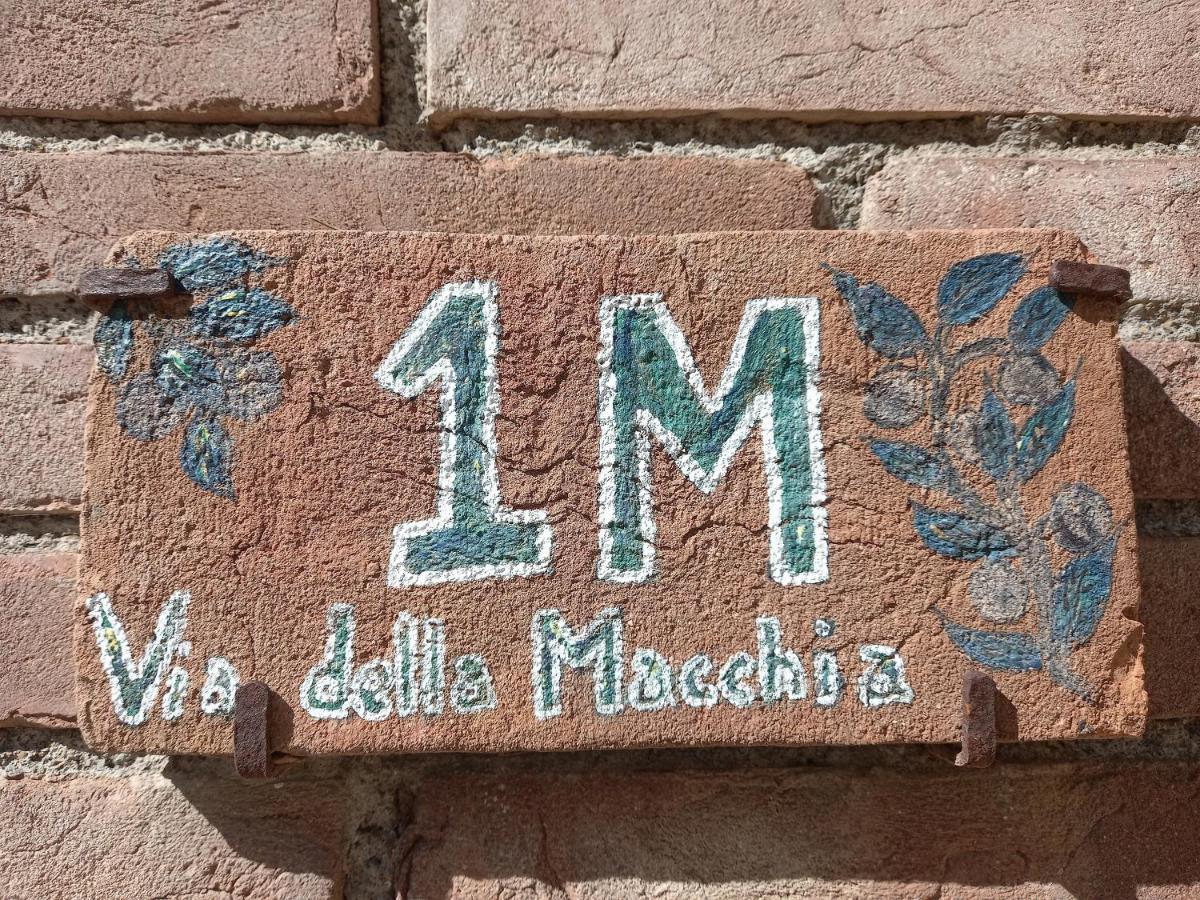 La Casina Di Campagna Tra Cecina E Bibbona Βίλα Εξωτερικό φωτογραφία