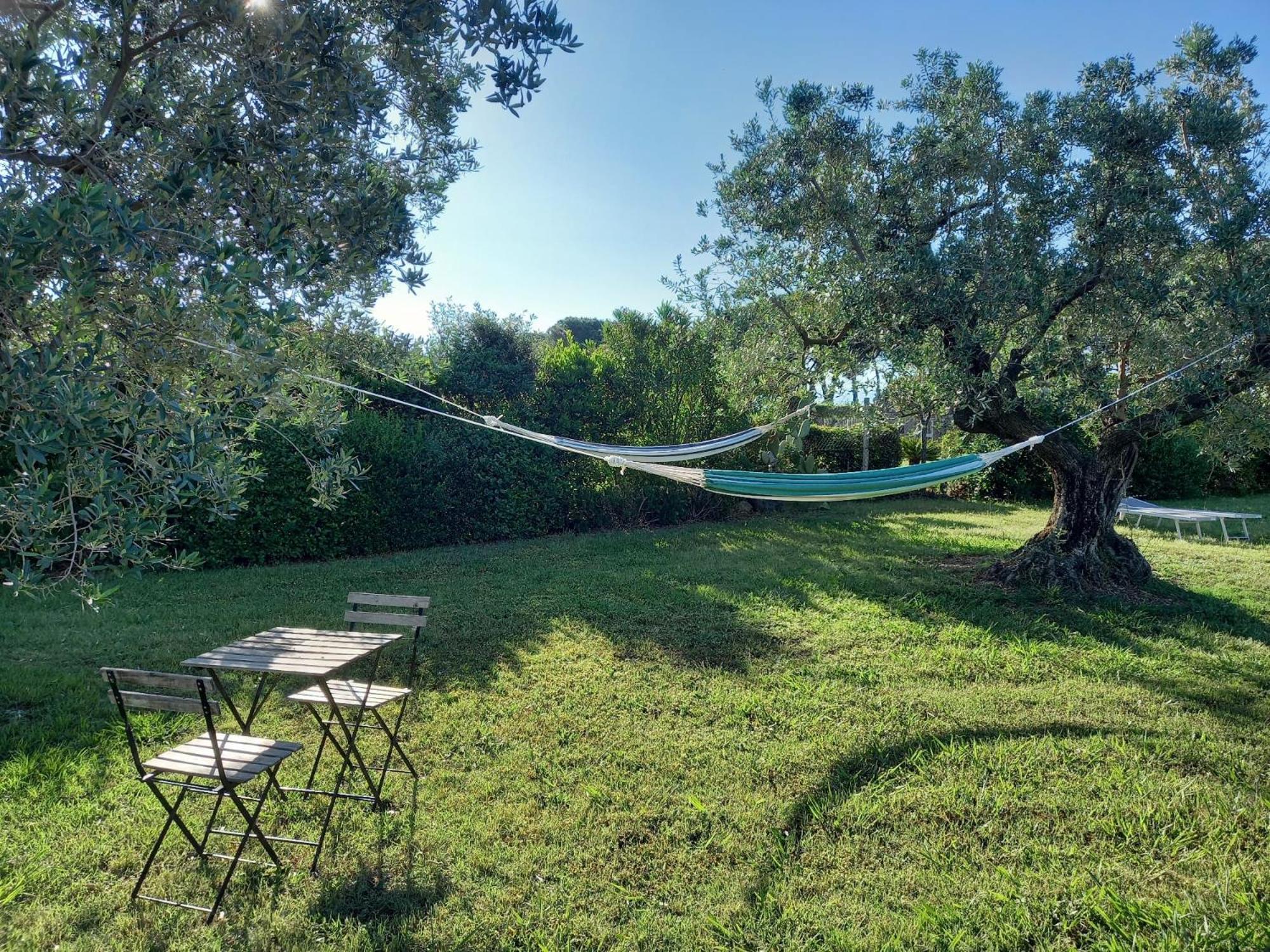La Casina Di Campagna Tra Cecina E Bibbona Βίλα Εξωτερικό φωτογραφία