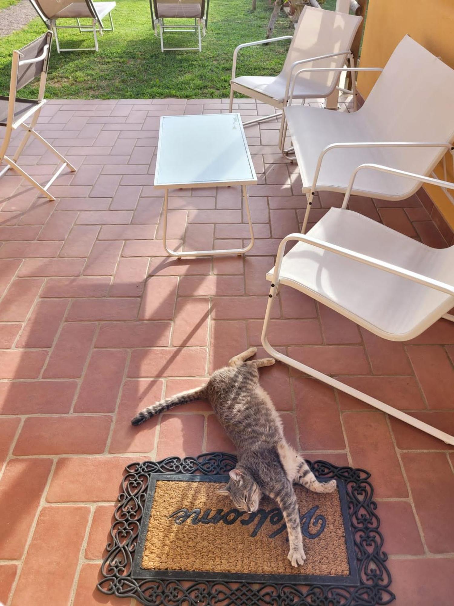 La Casina Di Campagna Tra Cecina E Bibbona Βίλα Εξωτερικό φωτογραφία
